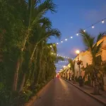 Sunsets Every Night- Olas Altas