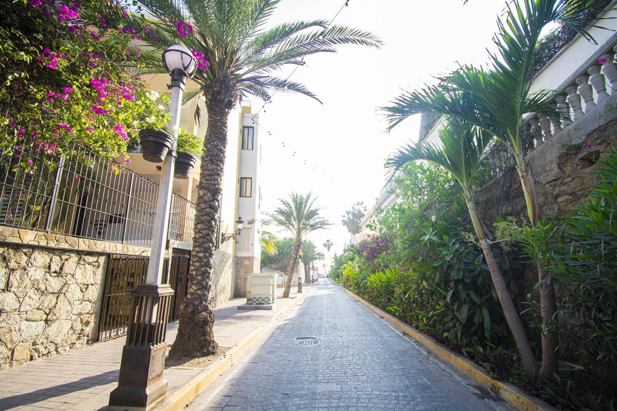 Sunsets Every Night- Olas Altas Apartamento